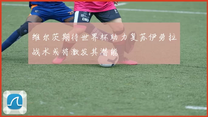 维尔茨期待世界杯助力复苏伊劳拉战术或将激发其潜能