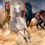 ¿Qué significa soñar con cabalgar?