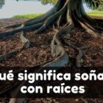 ¿Qué significa soñar con raíces?